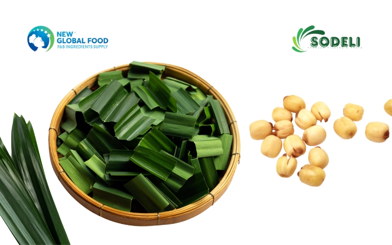 Sự Kết Hợp Hoàn Hảo Của Hạt Sen Và Lá Dứa Sự Kết Hợp Hoàn Hảo Của Hạt Sen Và Lá Dứa